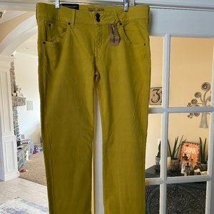 Bamboo (yellow) Stretch Backflap Jeans Tall